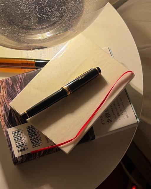 25年ぶりに「書き捨てる」モードが使えるようになった。

中学三年生でhtml打てるようになってからずっと、キータイプして「書く」ことはすべて、「使える」テキストの生成作業になっていたんだな〜と気づいた。記録、発信、出会い、交流。何年か前にチャレンジして、手書きの当用日記が続かなかったのは検索もコピペもできないという有用性の低さに意味を見出せなかったからだ。

ツイッターとかも、「書き捨て」のつもりだったけど実はそうじゃなかったんだって今になって思う。あれはむしろ鉄火場に賭けに行ってた！鉄火場で放出されるアドレナリンにより重力が無視できてる気がしただけで、ノートに書き捨てするときの無重力な自由とは全然違うって今やっとわかった。

去年は色々あって、正直chatGPTでのブレストがなかったらおそらく私は入院とかしてたと思うけど、ここへきて、紙のノートに手書きするときの自律しながら解き放たれる感覚にはかなわないなって感動してる。スポイルされない、安心な、ほんとに自由な境地で、就寝前に罫線もない真っ白なノートに感情にすらならないことを少し書いて布団に潜ったらよく眠れた。夜中に目が覚めることもなかった。

ということでOpenAIもうグッナイ………アプリを削除して、夜な夜なノートに手書きしますね。平和を願いながら🕊️