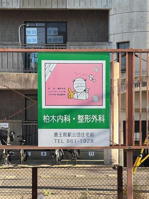 全部諦めて（同時に、何もかも諦めないで）、調整し続けるんだ！いつまで？死ぬまで！というのをひしひし思う梅雨入りでありました