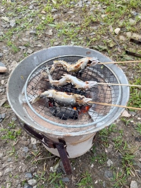 わたくしのような者にも「夏休み」を恵んでくださり誠にありがとうございます…… 

近況：いつものことですが、別に啜らんでもいい泥水を啜っております。
この泥水はたいへんな美味ですね〜〜〜

私「外の世界は危険がいっぱいだから……😭」
夫「君の頭の中の方がよっぽと危険だよ！🫩」

桂川の鮎ですぅ

こちらの七輪はこれにて年季となりましたぁ